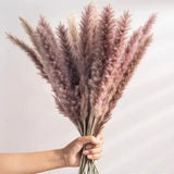 15pcs Pampas Grass Dried Flowers Bouquet Boho Home Vase Decoration Natural Phragmites Pampa Artifical Flower Wedding Party Decor