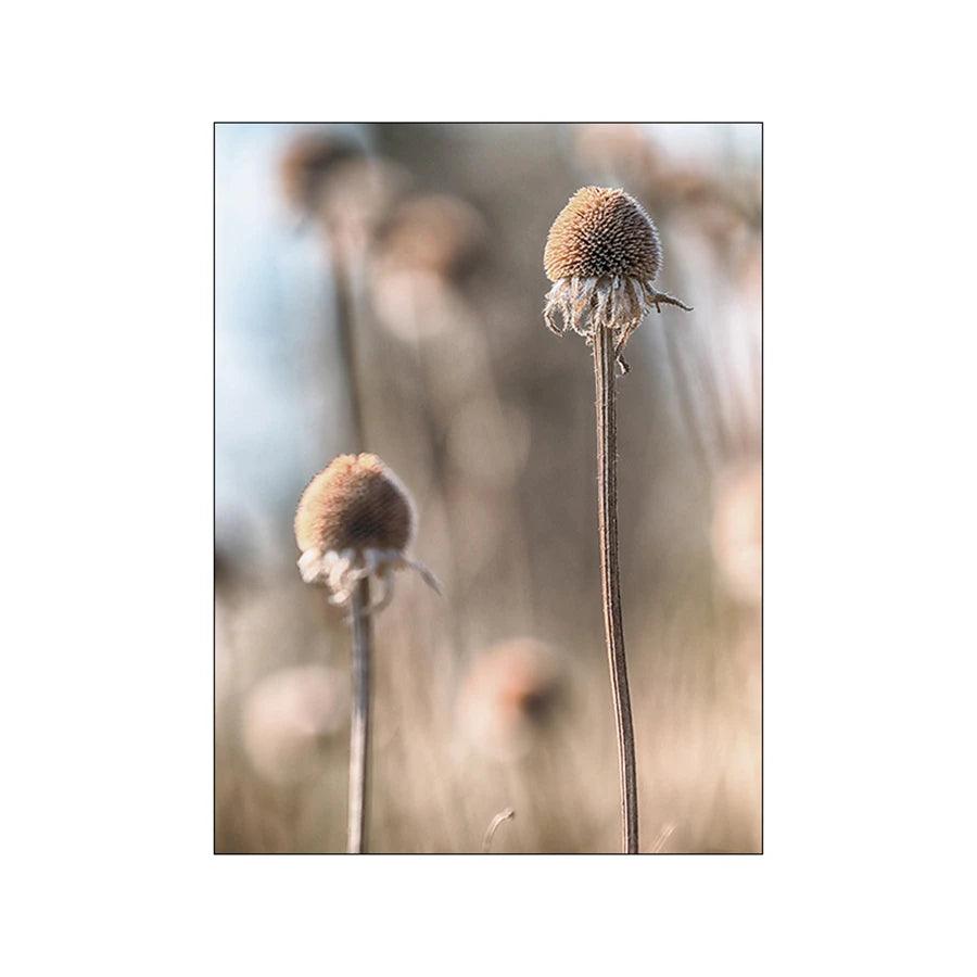 Beige Reed Dandelion Grass Cow Natural Wall Art Canvas Painting Nordic Posters And Prints Wall Pictures For Living Room Decor