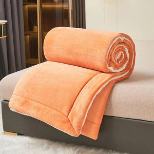 Double Layer Thickened Lamb Plush Blanket Plush Fleece Plaids For Bed Sofa Soft Warm Coral Fleece Blanket Winter Warm Blankets