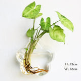 Fashion Wall Hanging Glass Flower Vase Terrarium Wall Fish Tank Aquarium Container Flower Planter Pots Home Garden Decoration