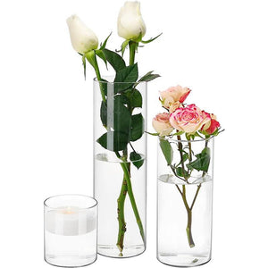 Glass Vase Flower Pot Hydroponic Transparent Vases for Flowers Dried Flower Arrangement Bottle Vase Decor Home Room Decor