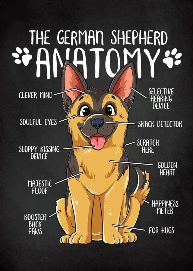 Home Pet Hospital Clinic Wall Art Canvas Painting Dog Anatomy Posters Anatomy French Bulldog Doberman Shiba Inu Pictures Cuadros