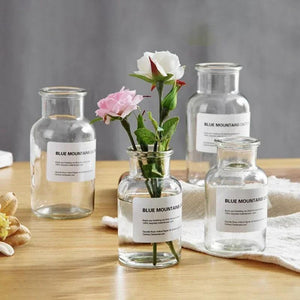 Ins Glass Flower Vase Transparent Dried Flower Hydroponic Terrarium Container Bottle Clear Plant Bottles Home Desktop Decor ваза