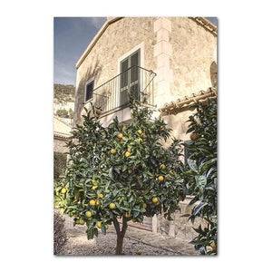 Italian Town Lemon Orange Harvest Poster and Prints Home Garden Plants Canvas Painting Car Bike Interior Decor Picture Wall Art