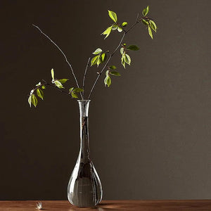 Japanese Zen Vase Transparent Glass Countertop Vase Home Decoration Flower Arrangement Hydroponic Home Decora Grace Small Vase