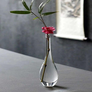 Japanese Zen Vase Transparent Glass Countertop Vase Home Decoration Flower Arrangement Hydroponic Home Decora Grace Small Vase