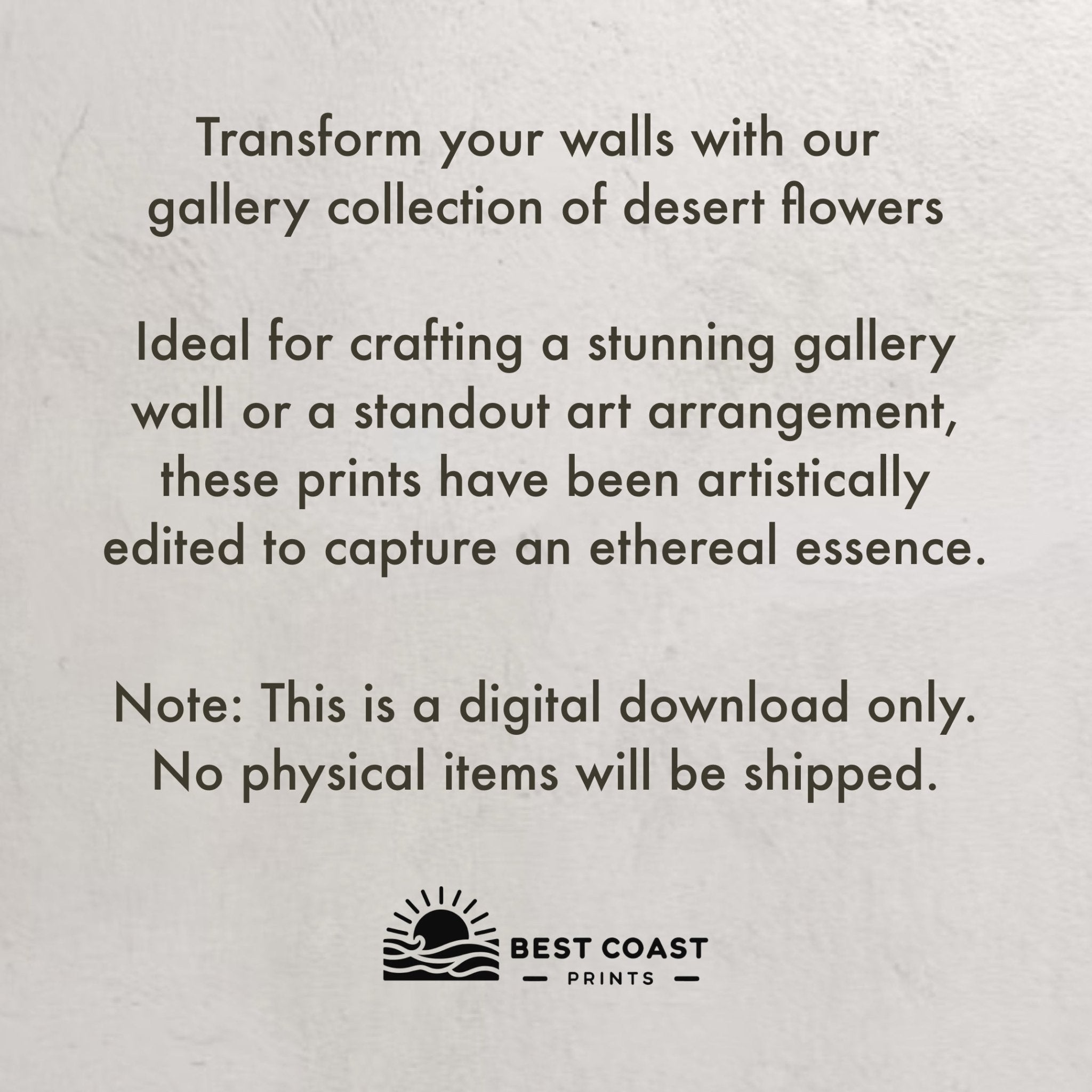 Desert Flower Black & White Prints, Set of 15 - Best Coast Prints