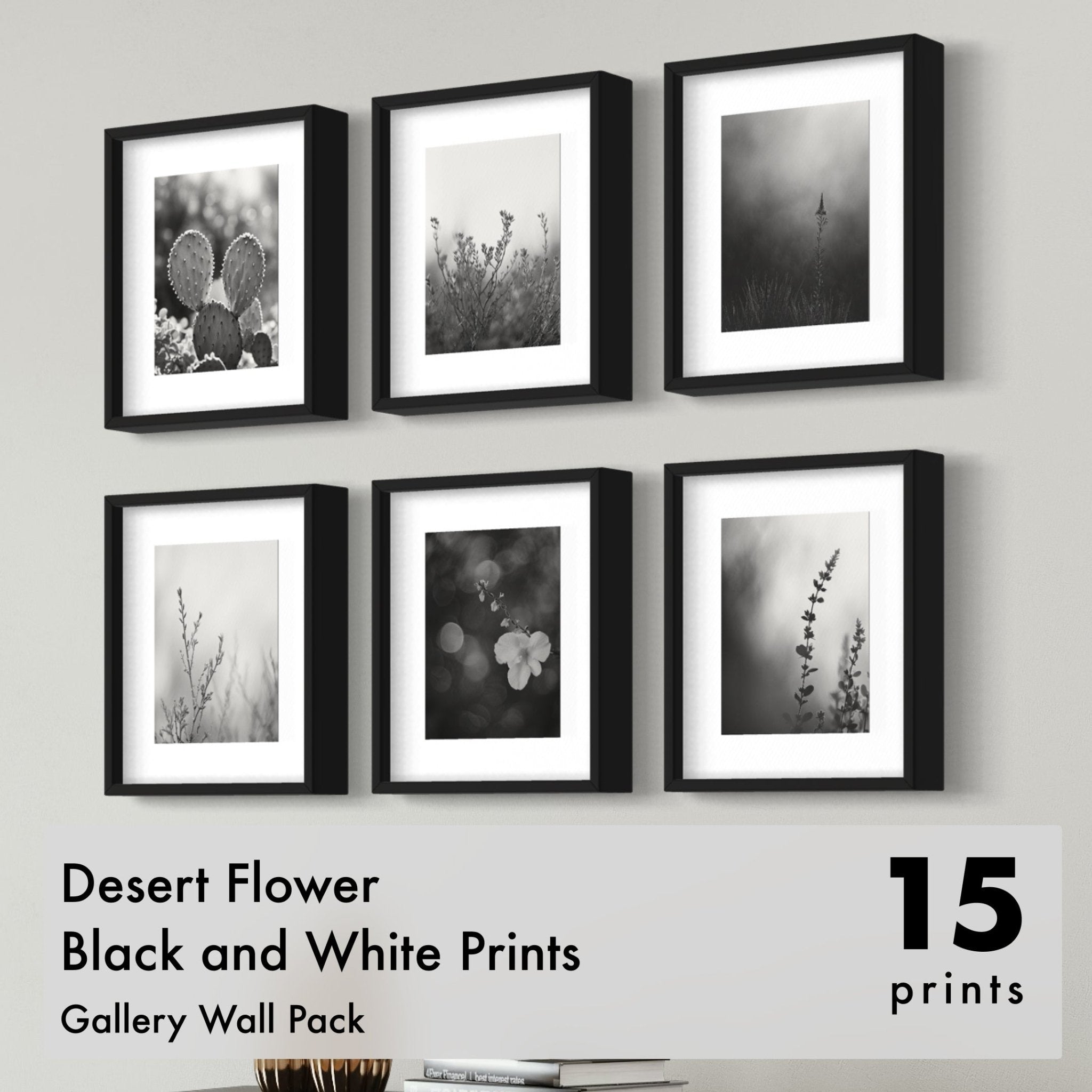 Desert Flower Black & White Prints, Set of 15 - Best Coast Prints