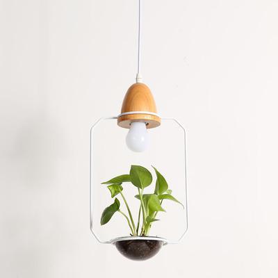 Nordic Iron Pendant Planter Lamp